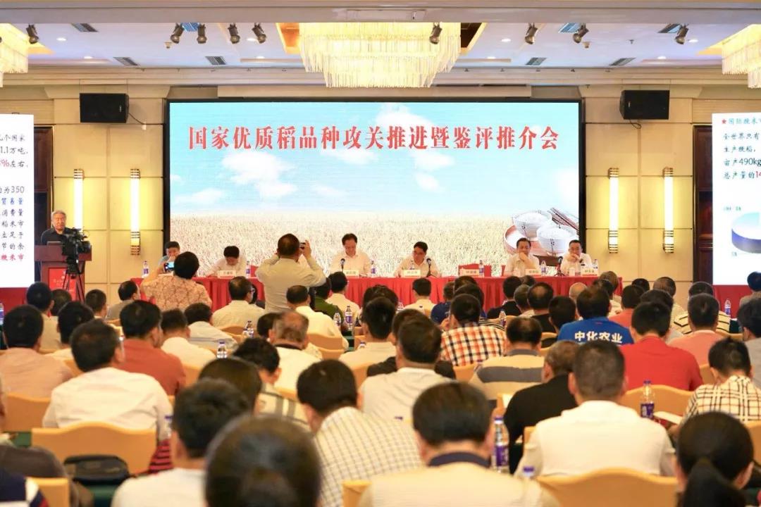 首届国家优质稻品种攻关推进暨鉴评推介会在广州举行